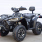 TERMINATOR 300 EFI  4x4