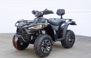 TERMINATOR 300 EFI  4x4