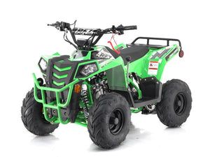 Mini Commander 110cc  -  Reverse