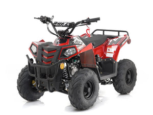 Mini Commander 110cc  -  Reverse