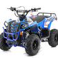 Mini Commander 110cc  -  Reverse