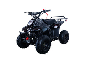 Hawk 110cc