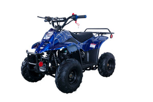 Hawk 110cc