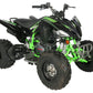 PENTORA 250cc