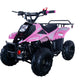 Hawk 110cc