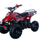 Hawk 110cc